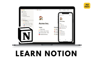 Notion Free Course
